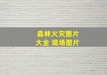 森林火灾图片大全 现场图片